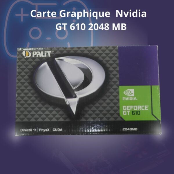 Carte Graphique Nvidia GT 610 2048MB